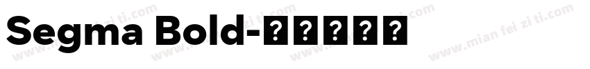 Segma Bold字体转换